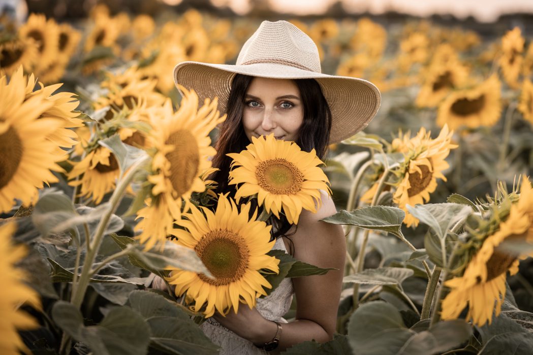 Vanessa im Sonnenblumenfeld